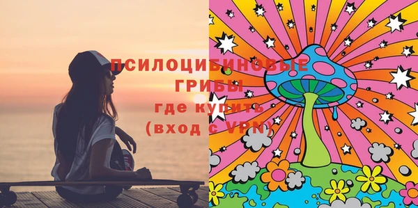 ECSTASY Алексеевка