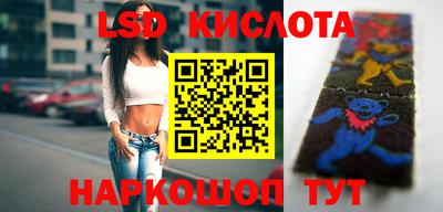 гидропоника Партизанск