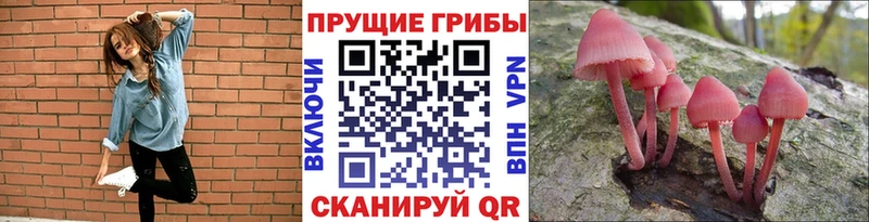 Псилоцибиновые грибы GOLDEN TEACHER  купить закладку  Волхов 