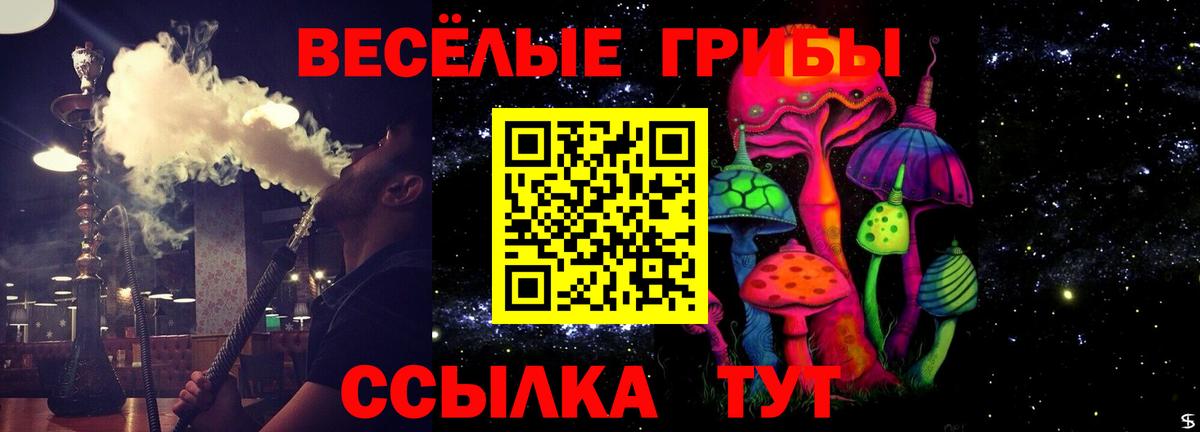 Псилоцибиновые грибы Psilocybine cubensis  Вход с VPN  Псилоцибиновые грибы Psilocybe  как найти   Волхов 