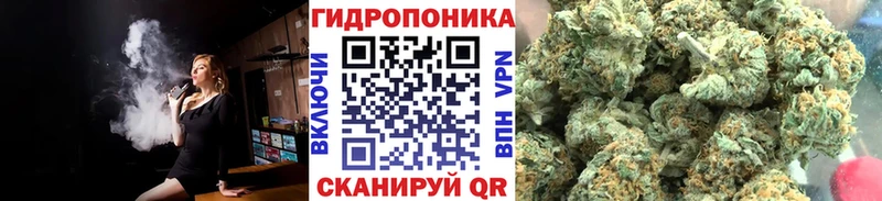 МАРИХУАНА гибрид Волхов